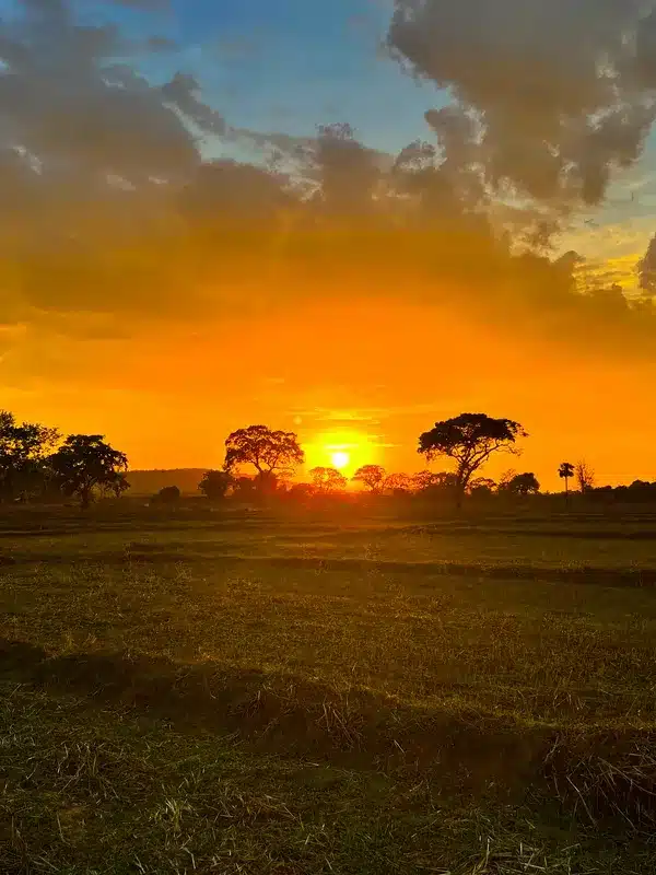 Coucher de soleil Sri Lanka